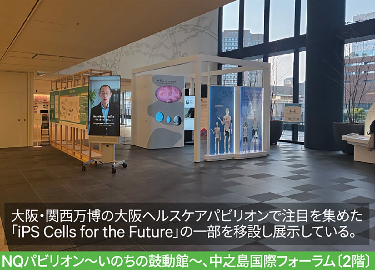 NQパビリオン～いのちの鼓動館～、中之島国際フォーラム〔2階〕
